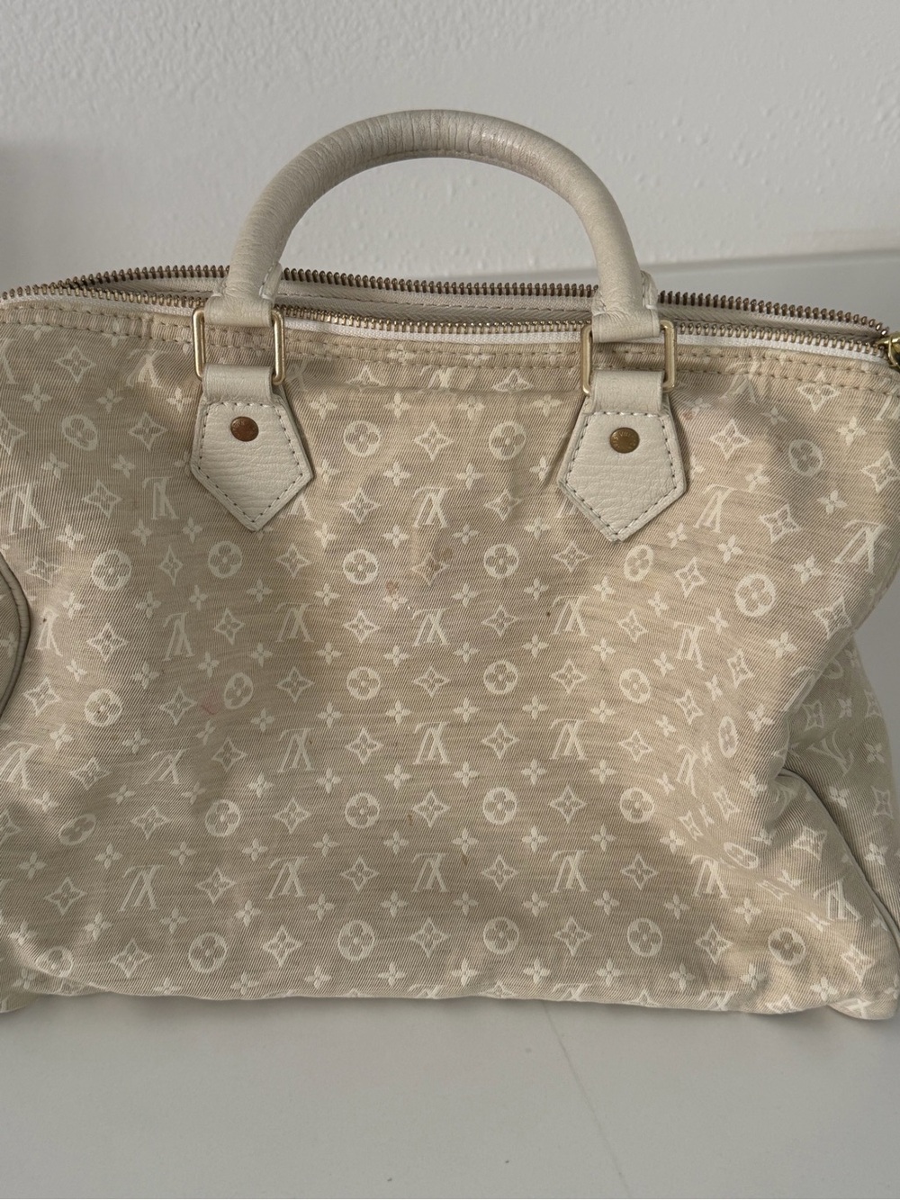 LOUIS VUITTON denim Speedy Bag